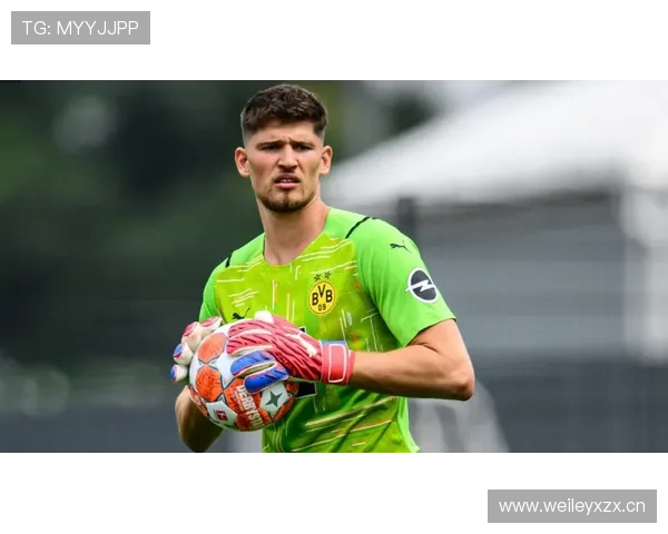 德甲转会动态一览：多队引援稳步推进，夏窗布局初显成效