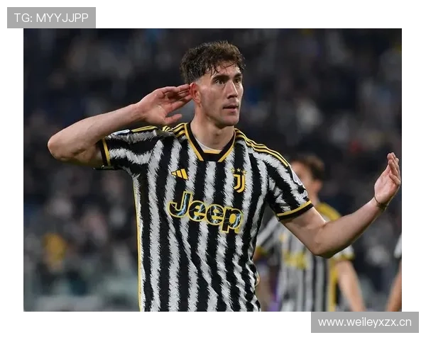 弗拉霍维奇：从潜力中锋到亿元先生的巅峰期成长解析