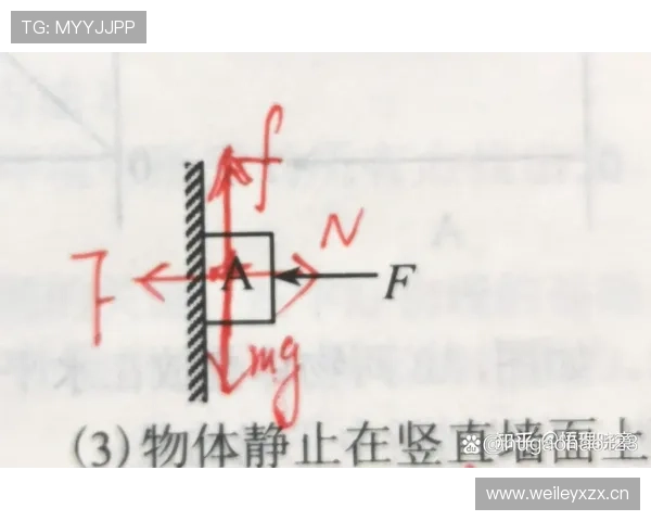 努涅斯亿元身价的能力匹配度与压力承受力分析